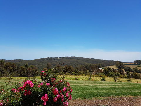 Karri Aura - Accommodation Daintree 9