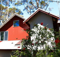 Pelicans at Denmark - Accommodation Daintree