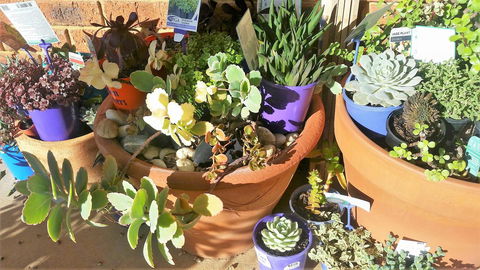 Quest Yelverton Kalgoorlie - Accommodation Daintree 11