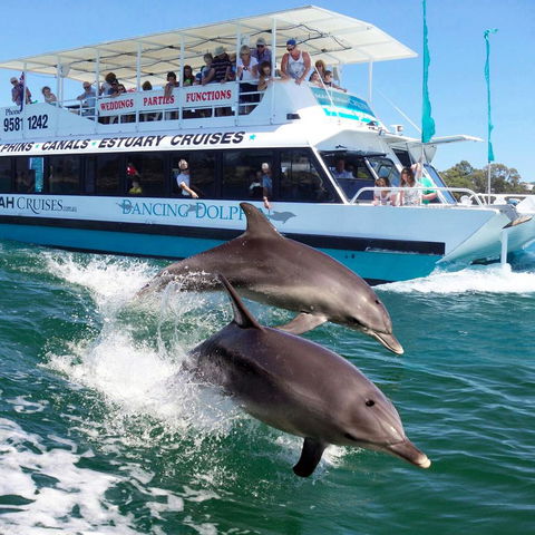 Mandurah Coastal Holiday Park - Accommodation Daintree 0