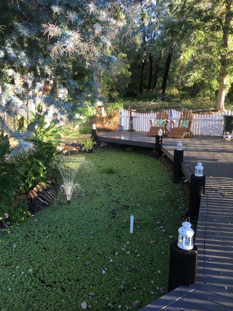 Applegate Lane Chalet - Accommodation Daintree 23