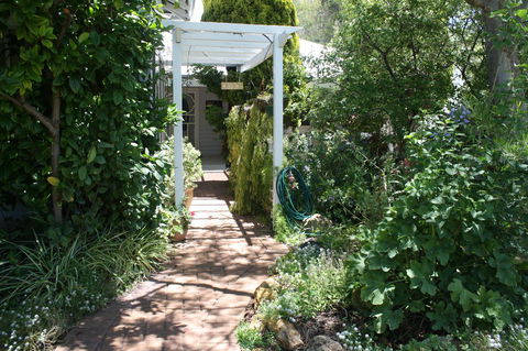Jacaranda Guest House - Accommodation Daintree 39