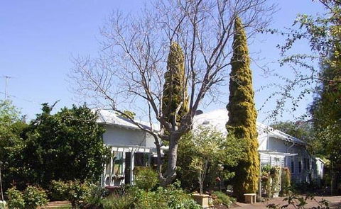 Jacaranda Guest House - Accommodation Daintree 37