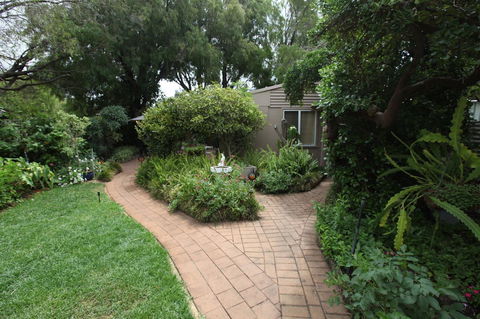 Jacaranda Guest House - Accommodation Daintree 27