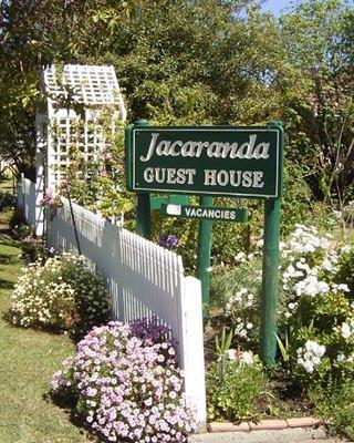 Jacaranda Guest House - Accommodation Daintree 43