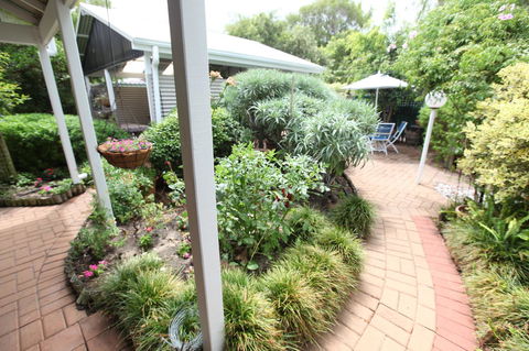 Jacaranda Guest House - Accommodation Daintree 25