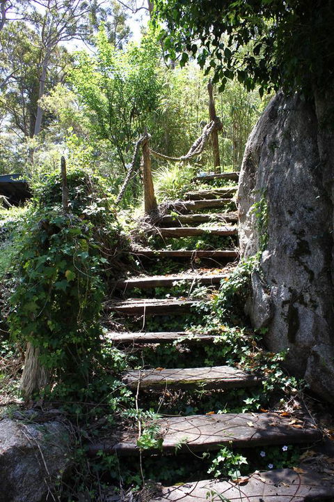 Ark Of Denmark - Accommodation Daintree 16