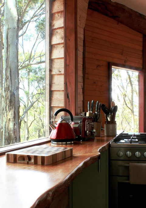 Ark Of Denmark - Accommodation Daintree 28