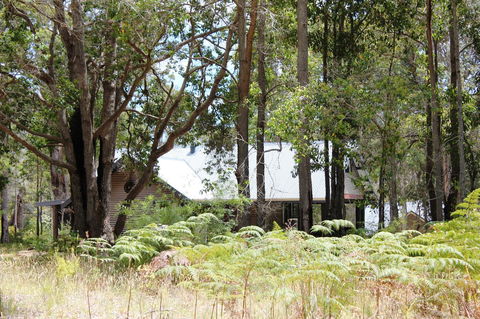Scotsdale Valley Studios - Accommodation Daintree 12