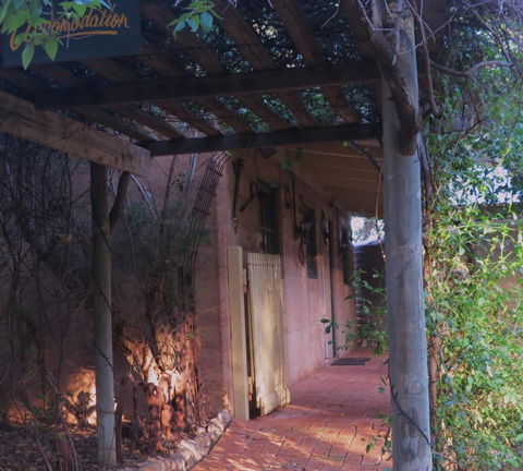 Bentwood Olive Grove Accommodation - Accommodation Daintree 11