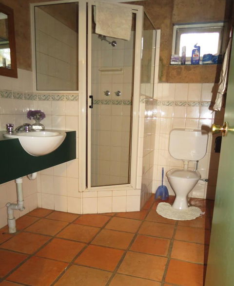 Bentwood Olive Grove Accommodation - Accommodation Daintree 17