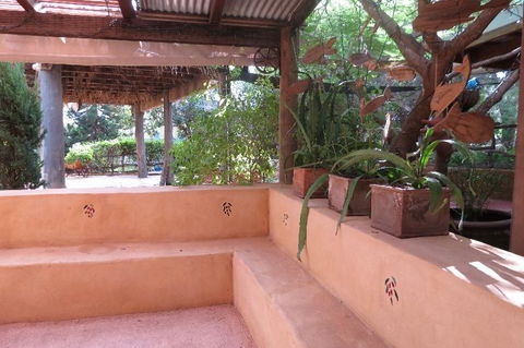 Bentwood Olive Grove Accommodation - Accommodation Daintree 10