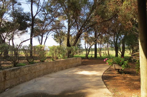 Bentwood Olive Grove Accommodation - Accommodation Daintree 2
