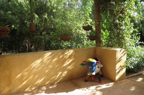 Bentwood Olive Grove Accommodation - Accommodation Daintree 9