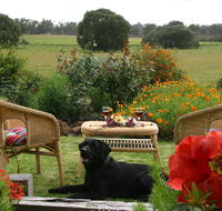 Silversprings cottages - Accommodation Daintree