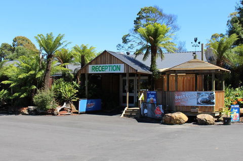 Tullah Lakeside Lodge - Accommodation Daintree 5