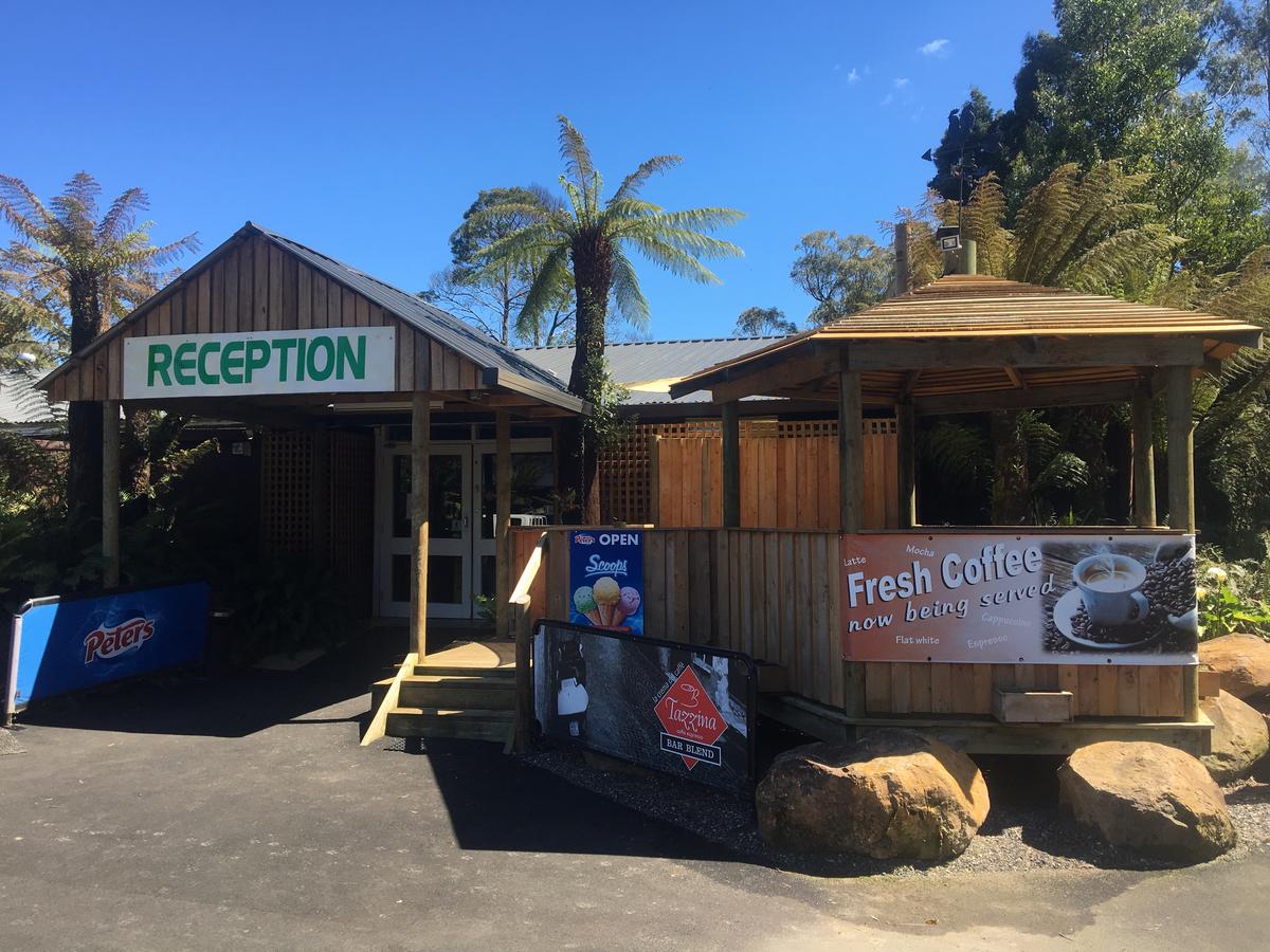  Accommodation Daintree
