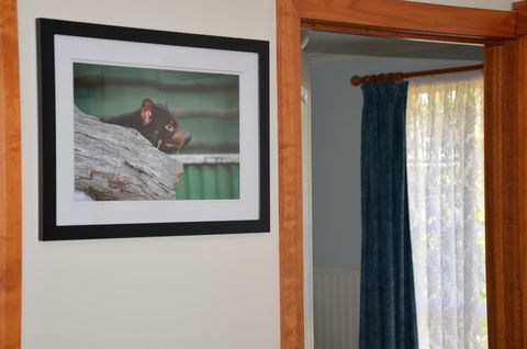 Castaway Holiday Apartments - Accommodation Daintree 3