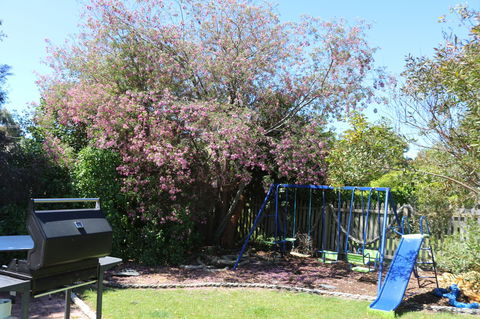 Sisters Beach Paradise - Accommodation Daintree 9