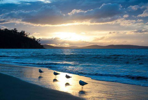 The Ultimate Beach House - Accommodation Daintree 8