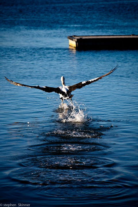 The Waterfront Wynyard - Accommodation Daintree 17