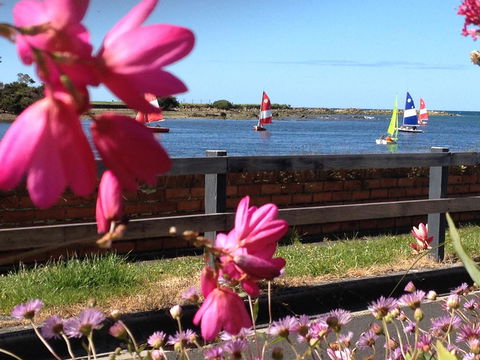 The Waterfront Wynyard - Accommodation Daintree 7