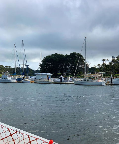 The Waterfront Wynyard - Accommodation Daintree 5