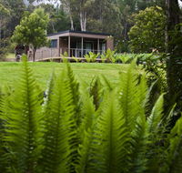 Tyenna River Cottage - Accommodation Daintree