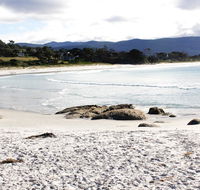 Mermaids of Bicheno - Accommodation Daintree