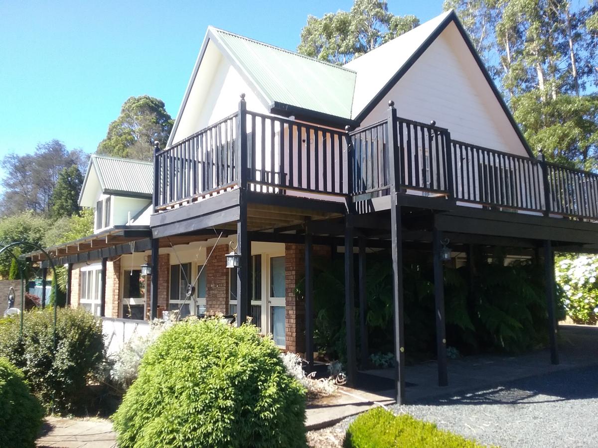 Wilmot TAS Accommodation Daintree