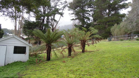 Maydena Chalet - Accommodation Daintree 44