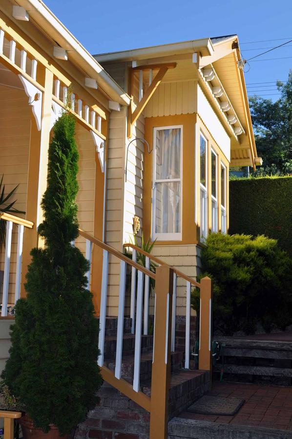 South Hobart TAS Accommodation Daintree