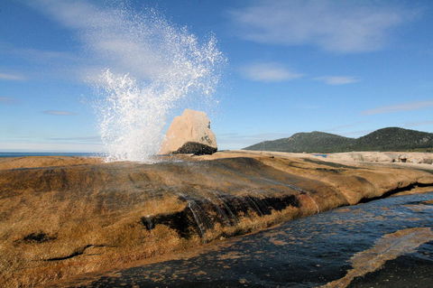Suntrap Cove Bicheno - Accommodation Daintree 0