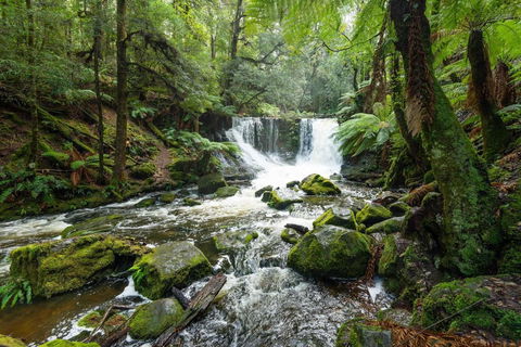 Post House Cottage - Accommodation Daintree 22