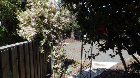 Karoola Cottage Self Contained - Accommodation Daintree 20
