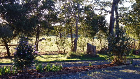 Karoola Cottage Self Contained - Accommodation Daintree 25