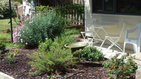 Karoola Cottage Self Contained - Accommodation Daintree 2