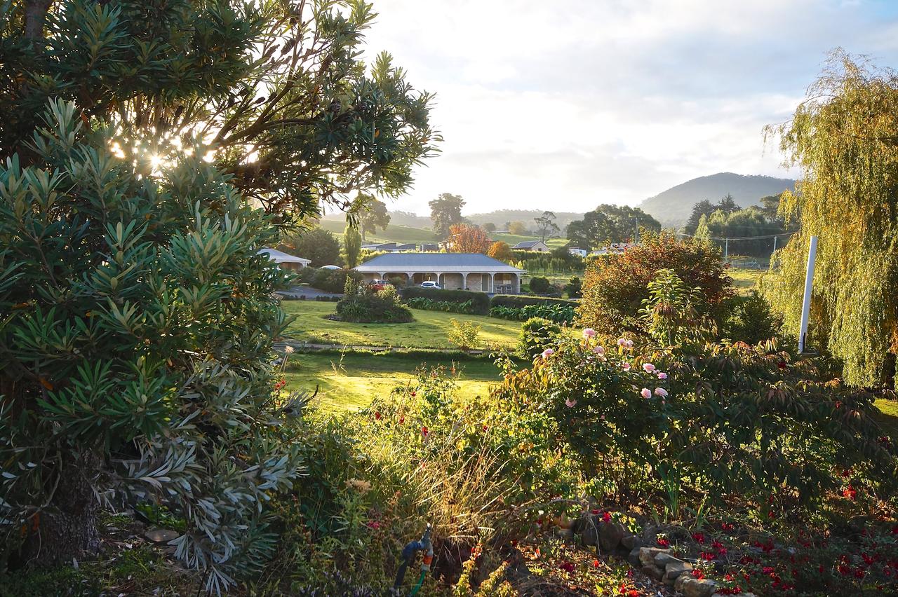  Accommodation Daintree