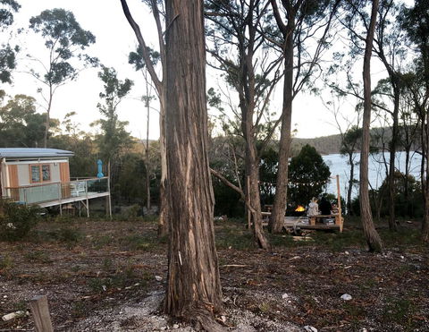 Free Spirit Pods - Accommodation Daintree 17