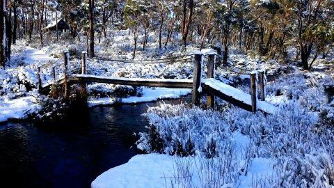 Cradle Mountain Love Shack - Accommodation Daintree 10