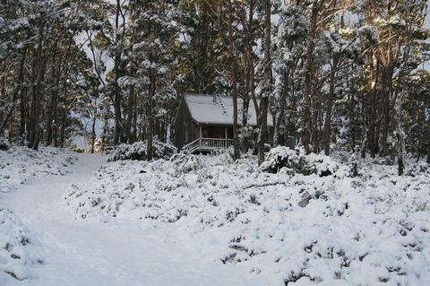 Cradle Mountain Love Shack - Accommodation Daintree 7