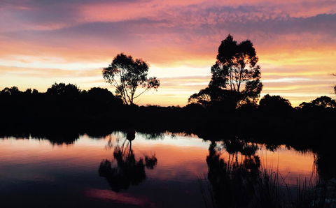 Blu-Sea 365 - Accommodation Daintree 9