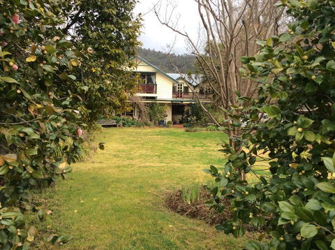 Neverinn - Accommodation Daintree 0