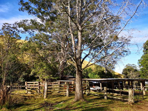 Nirvana Spiritual Retreat - Accommodation Daintree 1
