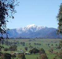 Off Mountain Accommodation - Accommodation Daintree
