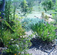 Old Miners' Cottages Bed and Breakfast - Accommodation Daintree