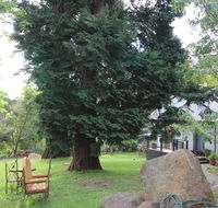 Olinda Country Cottages - Accommodation Daintree