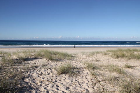 On The Beach - Accommodation Daintree 1