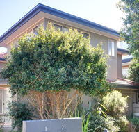 One Street Back from the Surf Beach - Accommodation Daintree