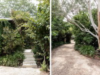 Oscar's Garden